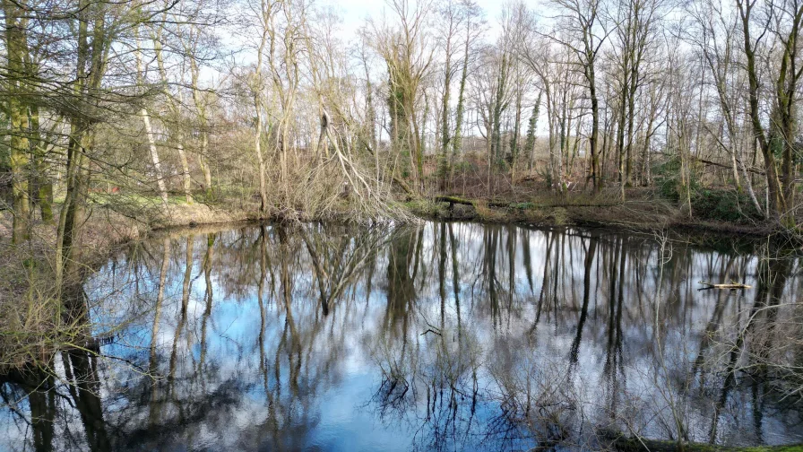 Wald, Erholungsfläche, See