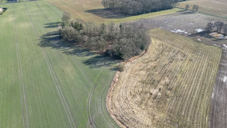 kleines Stück Brachland und Wald