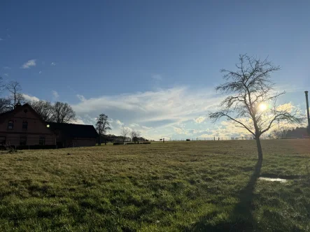 Grundstück - Grundstück kaufen in Walsrode / Stellichte - Reserviert - Großes Baugrundstück für Ihr Traumhaus in idyllischer Lage