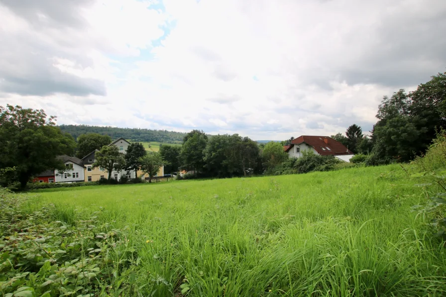 Ansicht - Grundstück kaufen in Schotten - Schönes Hanggrundstück in der Kernstadt von Schotten im Naturparadies Vogelsberg
