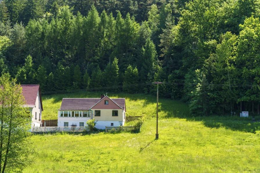  - Haus kaufen in Langenorla - Wohnen in (fast) Alleinlage mit 1 Hektar Wald & Wiese - Naturnahes Einfamilienhaus zur Sanierung