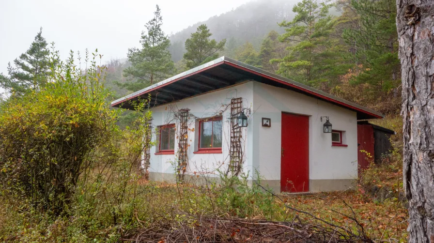 Gartenansicht mit Bungalow - Haus kaufen in Jena - Naturnahes Erholungsgrundstück mit Bungalow in Jena Ost