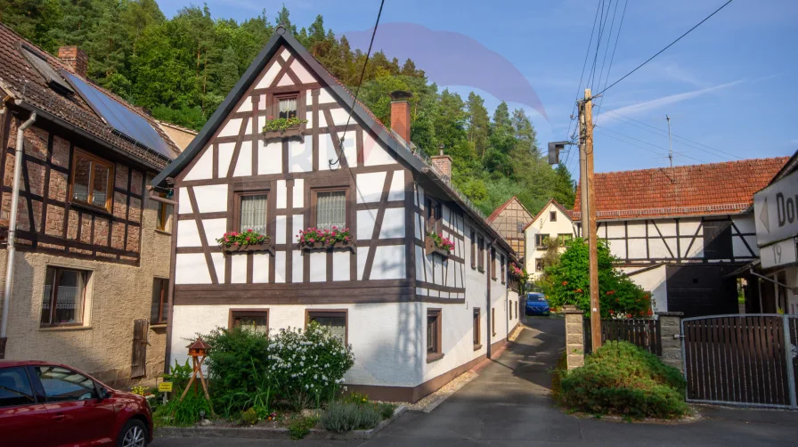 Außenansicht - Haus kaufen in Meusebach - Familienfreundliches Einfamilienhaus in idyllischer Wohnlage von Meusebach