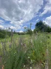 Gartengrundstück am Tüllinger