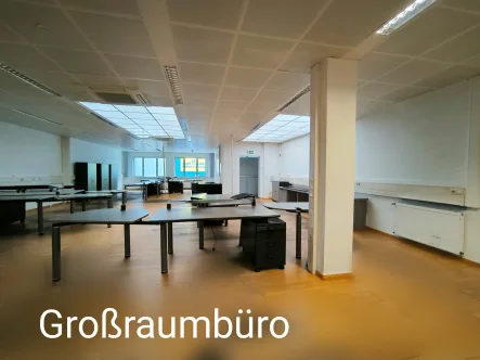 Büro 4 - Büro/Praxis mieten in Weil am Rhein - ZUR MIETE: große Bürofläche im Rheinhafengebiet +++ RE/MAX Weil am Rhein