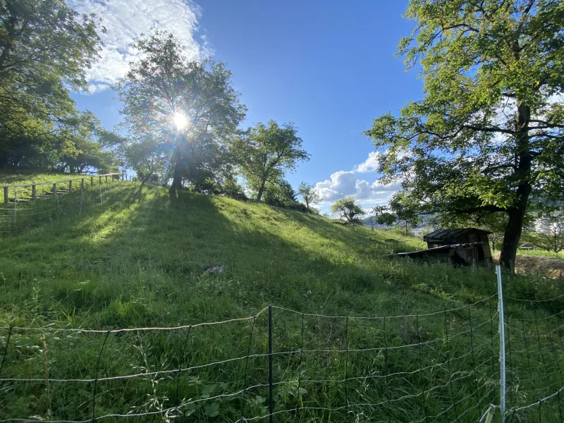  - Grundstück kaufen in Lörrach - Wunderschönes Grundstück im Gartenhausgebiet Stutz/Brendle in Lörrach-Haagen