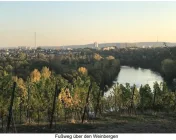 Fußweg über den Weinbergen