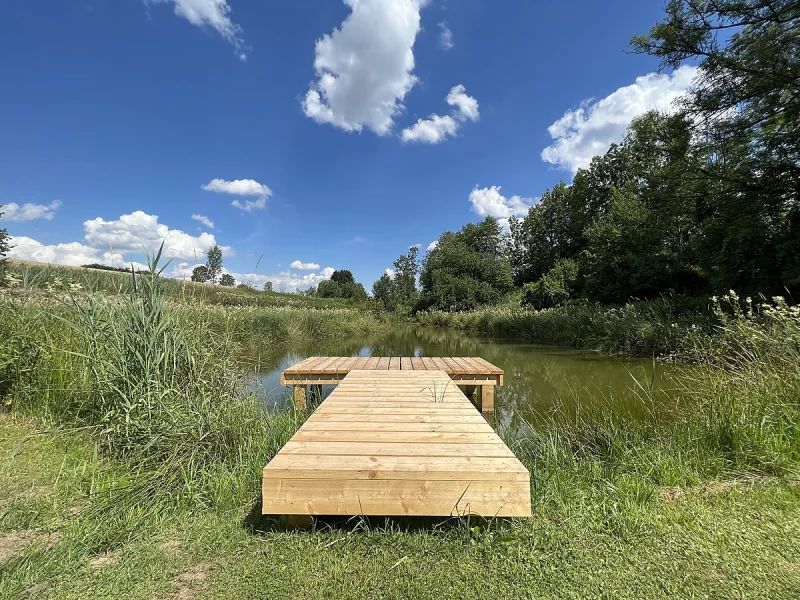Sonnensteg mit Weiher - Grundstück kaufen in Rudelzhausen - Nicht einsehbar - Traumhaftes Freizeitgrundstück mit eigenem Schwimmweiher