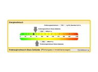 Ausschnitt Energieausweis