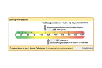 Ausschnitt Energieausweis