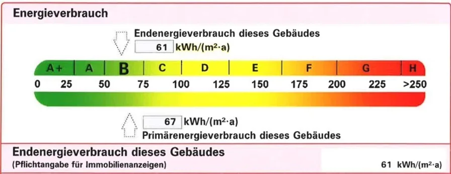 Ausschnitt Energieausweis