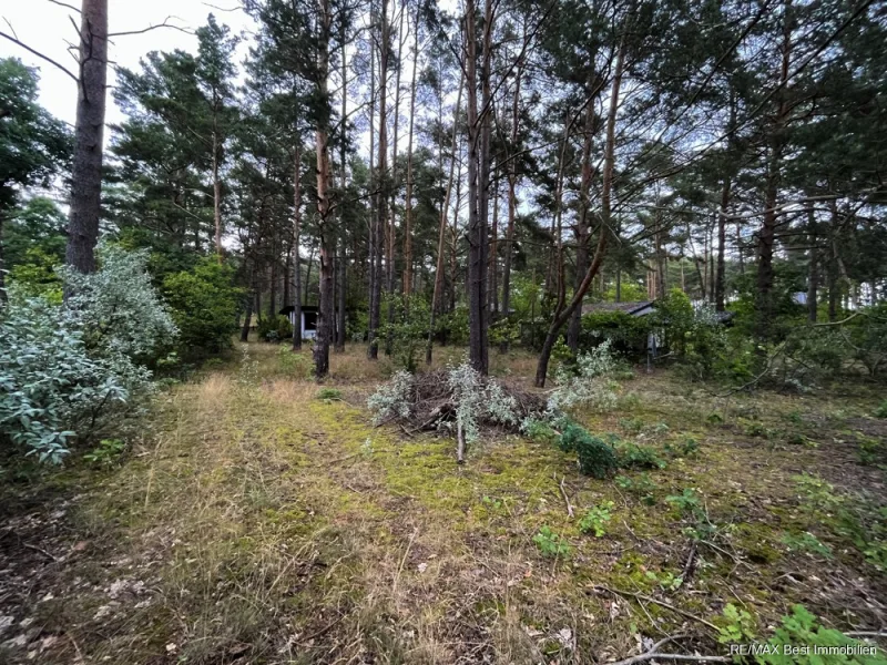 Grundstück von Straße nach hinten