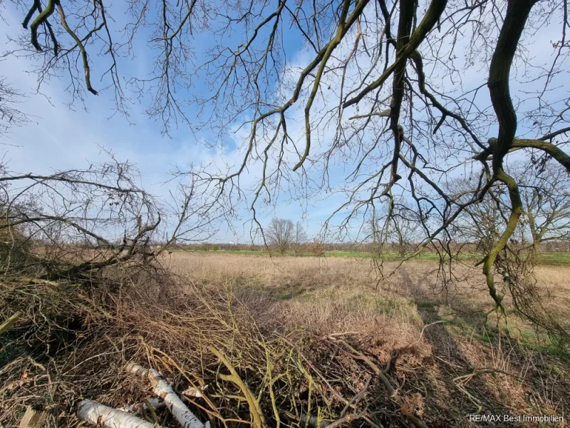 Blick auf das Feld