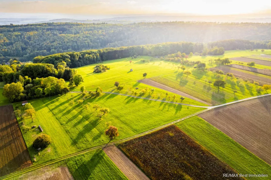 Beispiel Foto - Grundstück kaufen in Rückersdorf - Grundstückspaket mit 233 ha Land im Share Deal