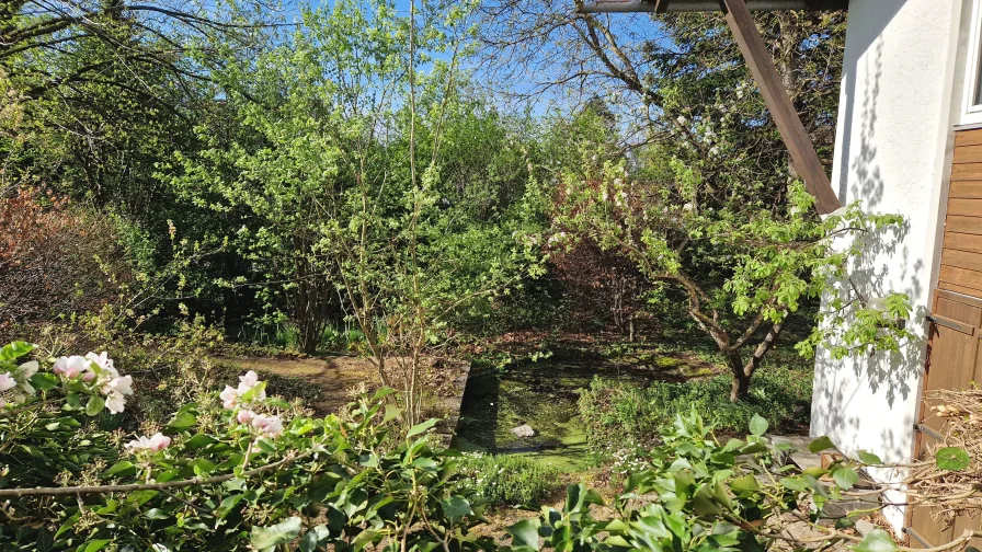 Großer Teich mit Garten