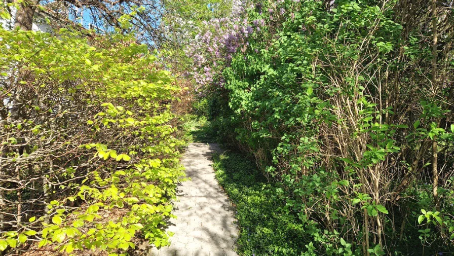 Schöner & eingewachsenener Weg zum Anwesen