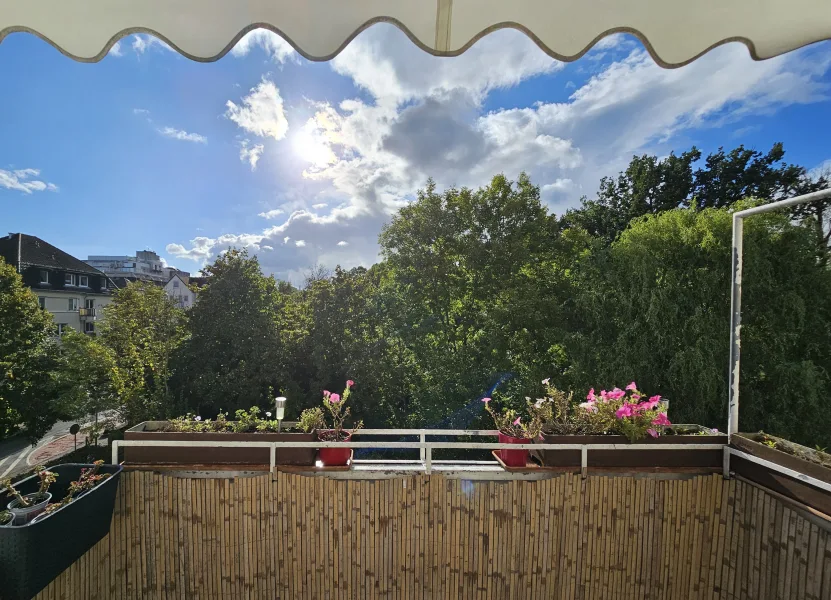 Blick vom Balkon