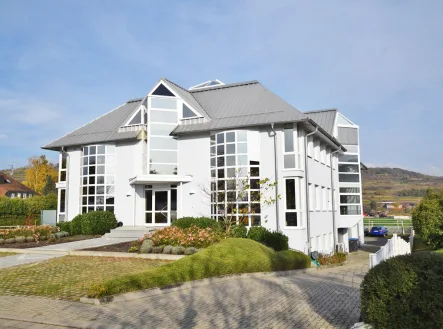 Front - Büro/Praxis mieten in Ihringen / Wasenweiler - repräsentatives  Bürohaus mit Aussicht auf den Kaiserstuhl (Lagerhalle zusätzlich auf Anfrage)