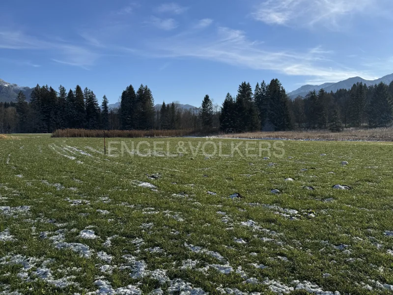 Blickrichtung Süden - Sonstige Immobilie kaufen in Fischbachau - Wiesengrundstück an der Leitzach