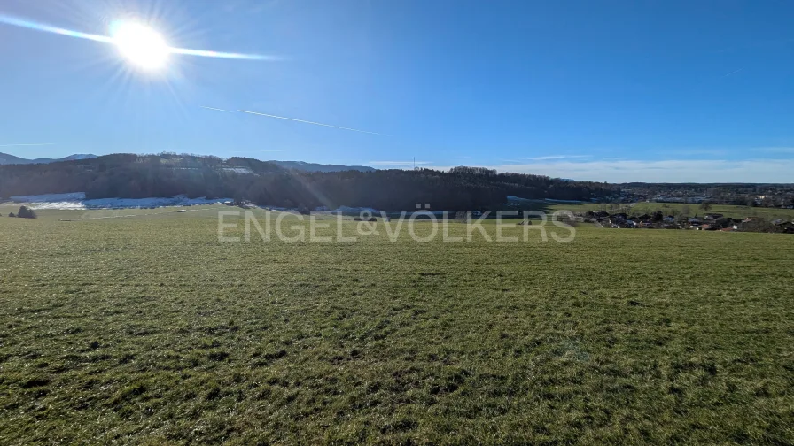 Ansicht Grundstücksfläche - Land- und Forstwirtschaft kaufen in Miesbach - Sonniges Grundstück am Hang