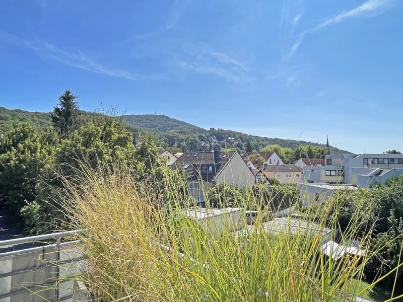 Traumhafte Fernsicht  über die Bergstraße mit dem Alsbacher Schloß