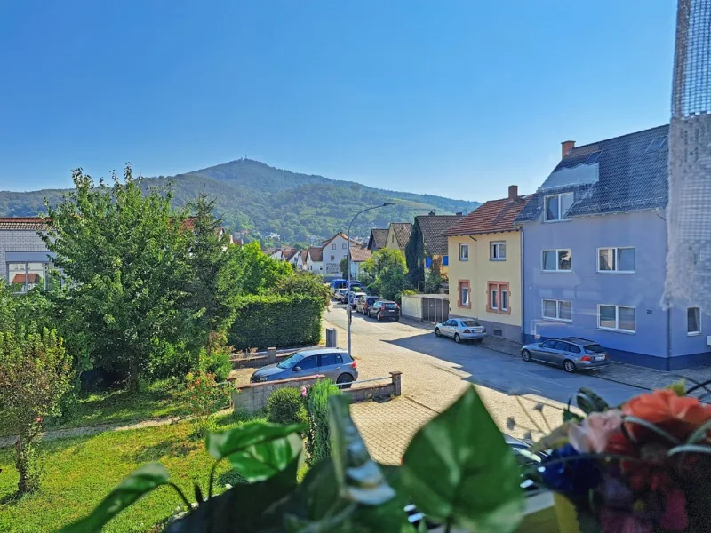 Melibokusblick vom Balkon