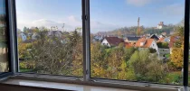 Blick über Reisensburg und auf das Schloss