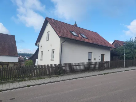 Ansicht - Haus kaufen in Nabburg - Top gelegenes Einfamilienhaus in der Innenstadt von Nabburg -  Am Rande der historischen Altsatdt!
