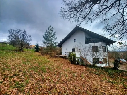 Westansicht - Haus kaufen in Zirndorf - Mit den Eichhörnchen "per Du": 256 qm Wohnfläche und 5.400 qm Grund in einem Ortsteil von Zirndorf!