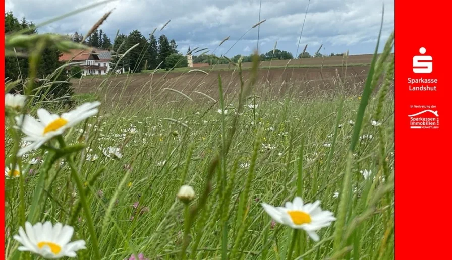 Deckblatt - Land- und Forstwirtschaft kaufen in Kröning - Beeindruckende alte Hofstelle in Kröning