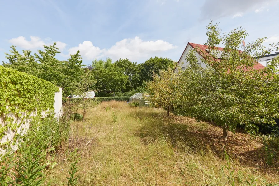 Garten oder mögliches Baugrundstück