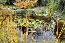 Gartenteich