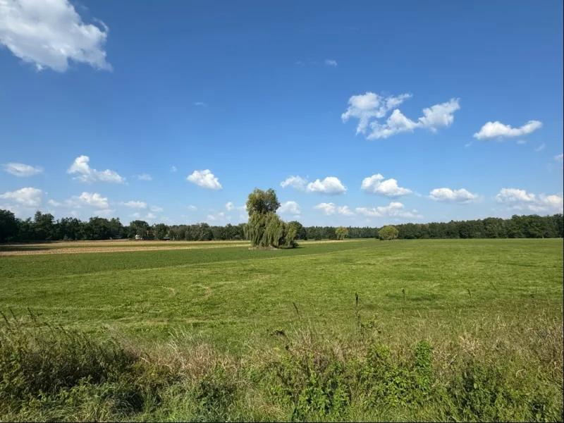 Ausblick - Wohnung kaufen in Nürnberg - Großzügige 3-Zimmer-Wohnung in Pillenreuth