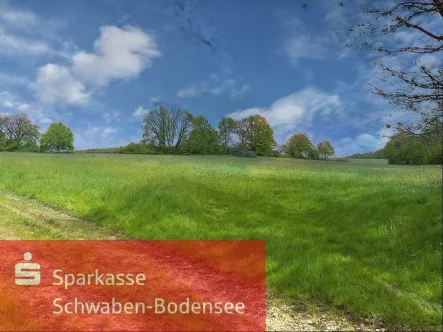 Ansicht - Land- und Forstwirtschaft kaufen in Eppishausen - Ackerland bei Haselbach