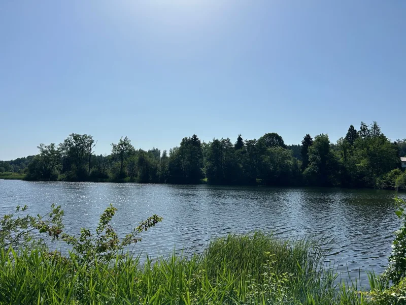 Blick auf den Weiher 