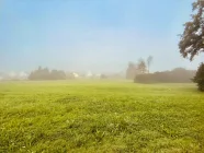 ländliche Idylle im Morgennebel