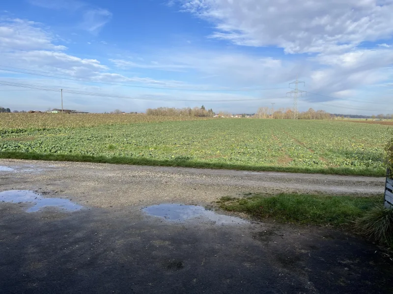 Ausblick vor der Haustür