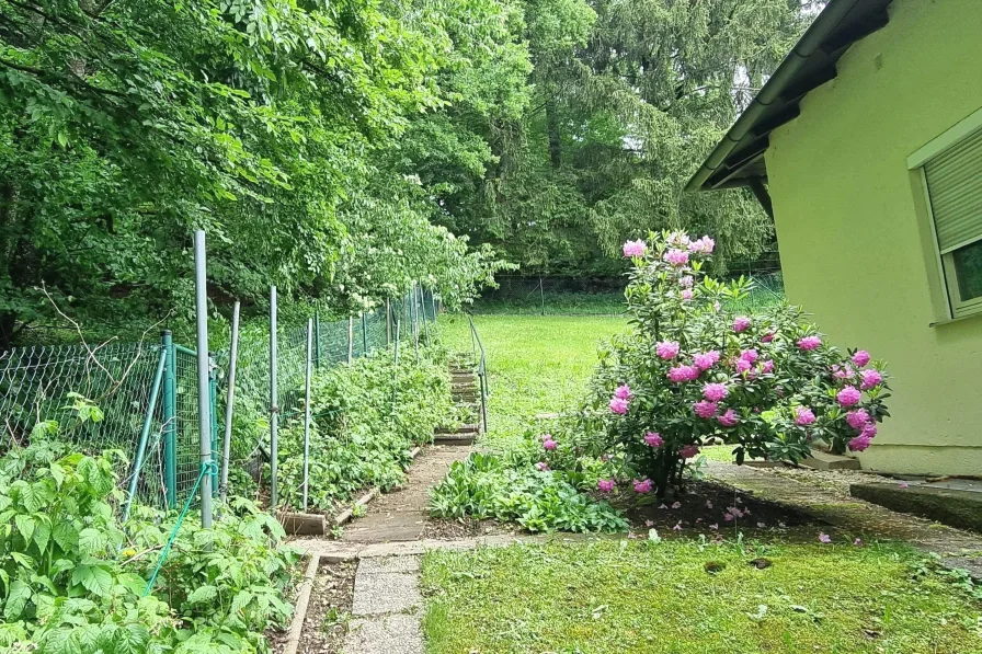 Garten zur Küchenseite hin