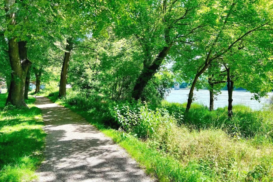 Fuß-/Radweg entlang des Inns