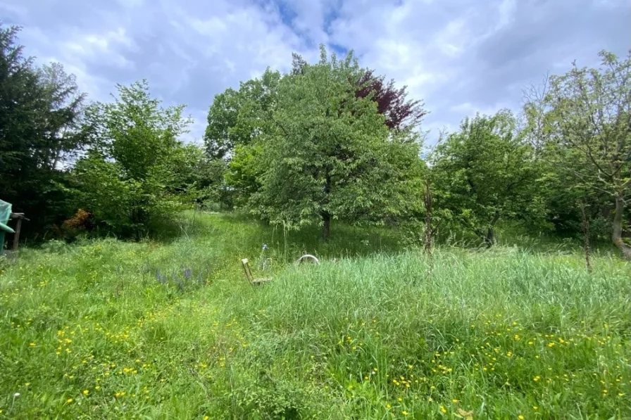 Impression 2 - Blick nach Oben Richtung Norden