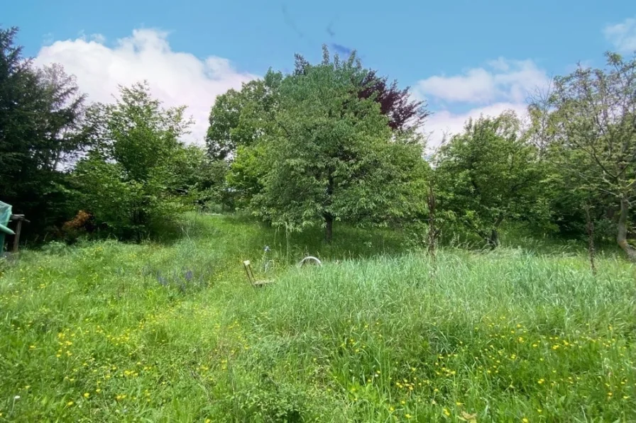 Blick nach oben Richtung Norden