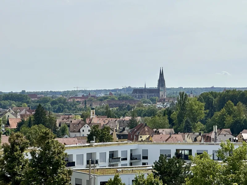 Hauptbild - Haus kaufen in Regensburg - Traumblick über die Domstadt