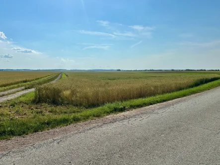 Ansicht - Grundstück kaufen in Aufhausen - Chance auf Ackerland bei Aufhausen