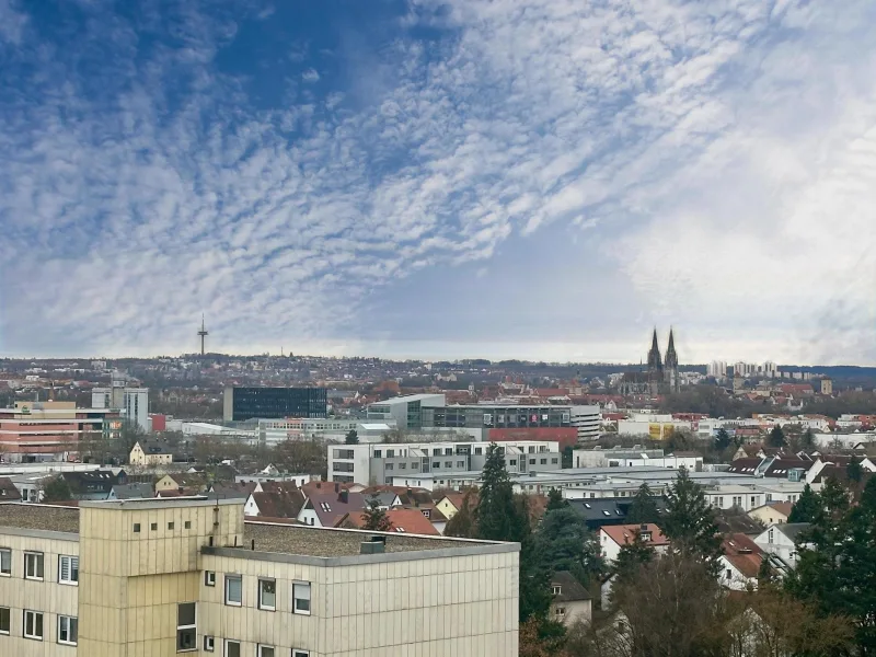 Ausblick Südwest - Wohnung kaufen in Regensburg - Stop -  echte Gelegenheit!