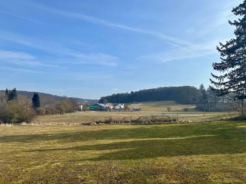 Blick ins Grundstück - Grundstück kaufen in Nittendorf - Grundstück in Nittendorf