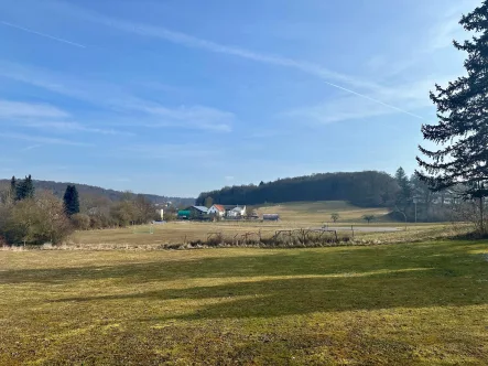 Blick ins Grundstück - Grundstück kaufen in Nittendorf - Grundstück in Nittendorf