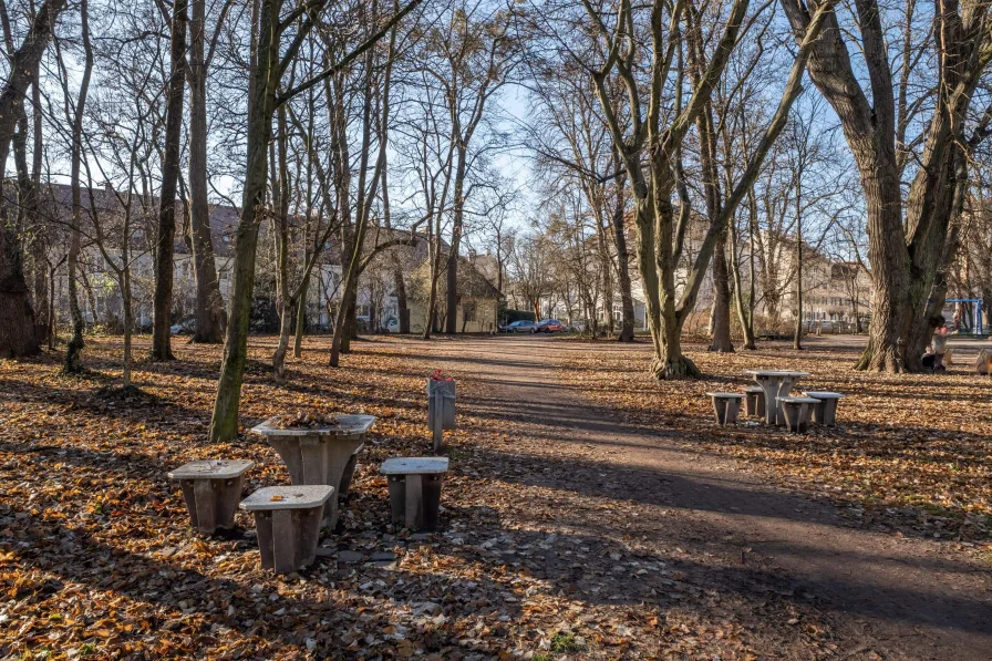 Grünfläche am Agricolaplatz