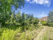 Garten mit Blick zum Haus