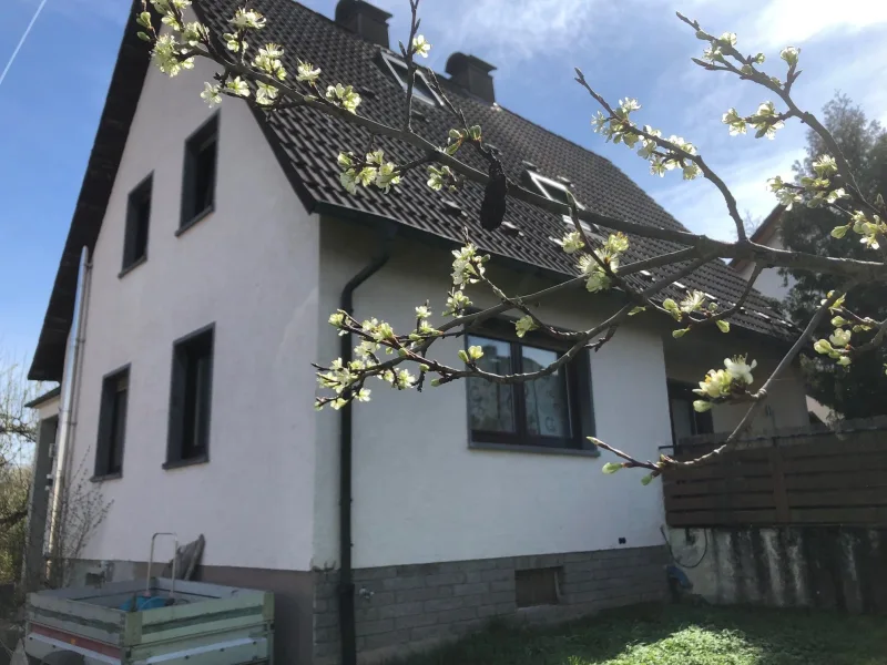 Außenansicht - Haus kaufen in Hösbach - Lage, Umfeld und Haus sind GUT 