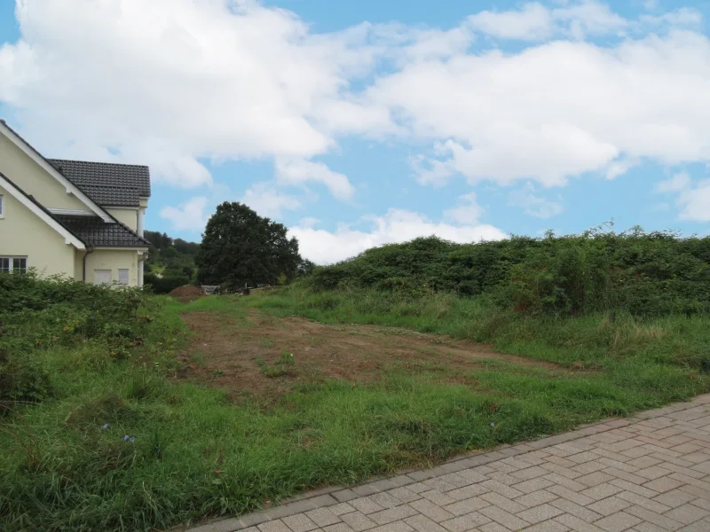 Blick auf das Grundstück - Grundstück kaufen in Aschaffenburg - Kleines Baugebiet in bester Lage